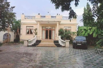 BÁN NHÀ MẶT TIỀN HUỲNH THỊ NA – VỊ TRÍ ĐẸP, ĐẤT LỚN HIẾM CÓ