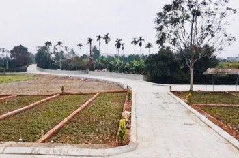 Hàng đẹp bay nhanh 56 lô F0 tại Lạc Thủy, Hòa Bình giá 465tr sẵn sổ riêng