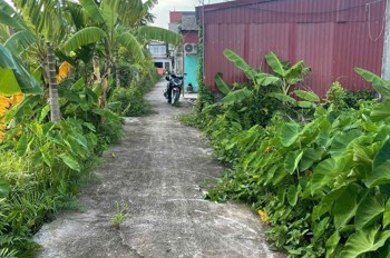 Giá hiếm 6xx triệu – Lô 62.3m² tuyến 2 Bình Minh, Nam Đồ Sơn, đầu tư sinh lời nhanh – ZALO 0567 222