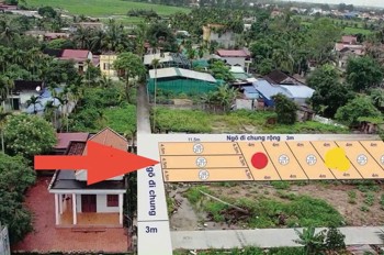 Giá hiếm 8xx triệu – Lô 51.7m² Hoà Nghĩa, ngõ 4m, gần trục 353 – ZALO 0567 222 555