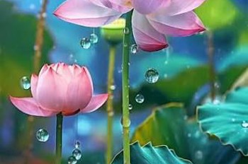 BÁN LÔ ĐẤT ĐƯỜNG MỸ ĐA ĐÔNG 8, NGANG 6M5, PHÙ HỢP XÂY CĂN HỘ