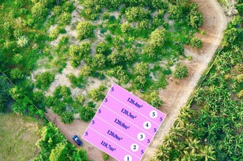 BÁN 05 FULL THỔ GIÁP KCN SÔNG CẦU (Cách TL2 chỉ 30m)