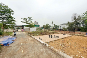 Gia đình có việc gấp muốn bán lô đất 75m ở cánh chủ bình yến giá hai tỷ