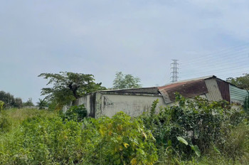 SIÊU PHẨM QUỸ ĐẤT LỚN 8.000m² – 6.000m² THỔ CƯ - MẶT TIỀN TL15, TÂN THẠNH ĐÔNG, CỦ CHI