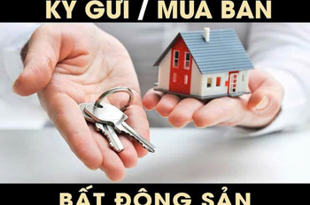 Nhận Môi Giới
Tài Sản Nhà Phố
tại

Thanh Oai

Kết nối
0972 078 667