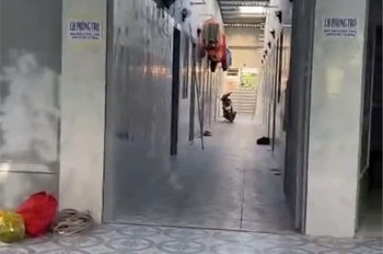 NHÀ CHÍNH CHỦ- GIÁ TỐT chính chủ cần bán nhanh dãy trọ 14 phòng tại h. Châu Thành, tỉnh Tiền Giang