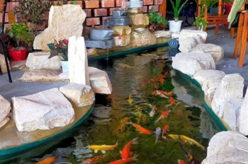 CCG – XUÂN THỚI THƯỢNG, HÓC MÔN - LÔ GÓC 2MT SIÊU ĐẸP – VỊ TRÍ VÀNG KD ĐỈNH CAO!