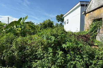 61.6M² TRUNG TÂM BÀNG LA – Ô TÔ ĐỖ CỬA – GIÁ CHỈ HƠN 8XX TRIỆU – CỬA VỐN HIẾM  ZALO 0567 222 555