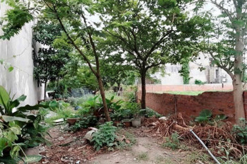 H1710 💥💥 đất Nở hậu Lê Văn Khương Q12, 233m2, SHR, 7.x tỷ