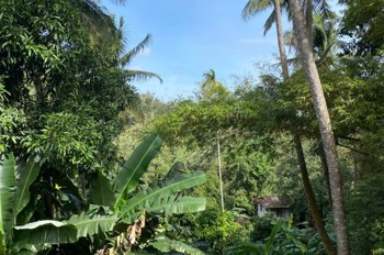 GIÁ TỐT - CHÍNH CHỦ Cần Bán Nhanh Lô Đất Mặt Tiền Đường Y Jút, TP Buôn Ma Thuột