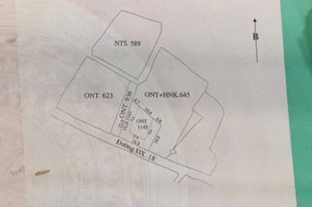 CẦN BÁN 364 M ĐẤT, BÊN CẠNH RỪNG DỪA 7MẪU HỘI AN