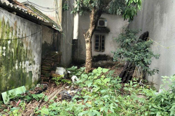 🌹.THỬA ĐẤT ĐẸP GIÁ HỢP LÝ- KHU VỰC ĐẠI ÁNG  ĐANG PHÁT TRIỂN