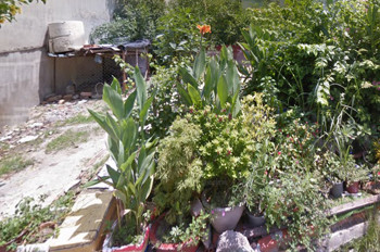 O1720 💖💖 Giảm 800tr! đất Phan Văn Hớn Q12, SHR, Vuông, HXT, 8x18m, 5.x tỷ