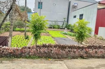 MUỐN BÁN GẤP 51.5M ĐẤT TÍCH GIANG _ PHÚC THỌ _ HÀ NỘI