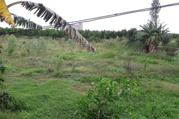 ĐẤT ĐẸP- GIÁ TỐT CẦN BÁN NHANH NỀN THỔ CƯ MẶT TIỀN ĐƯỜNG NHỰA tại huyện Thanh Bình, tỉnh Đồng Tháp