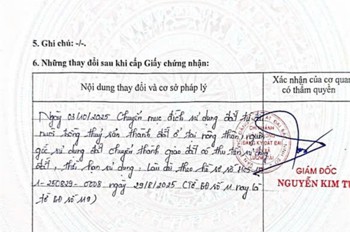 Lô Đất Chính Chủ Thôn Nhất Trai, Xã Minh Tân, Lương Tài, Bắc Ninh NAY LÀ Xã Trung Chính, Bắc Ninh