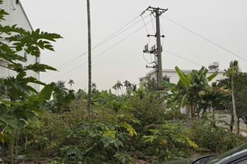 LÔ ĐẤT SAU MẶT ĐƯỜNG PHẠM VĂN ĐỒNG (353) – 247M² – MẶT TIỀN 11M HIẾM – GIÁ CHỈ 2X TRIỆU/M²  ZALO