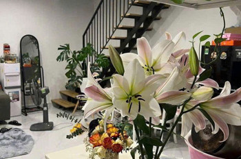 💥: NHÀ ĐẸP MỚI - SÂN Ô TÔ - GẦN CHỢ HÀ ĐÔNG 🏡. Bán nhà Nguyễn Trãi, Hà Đông