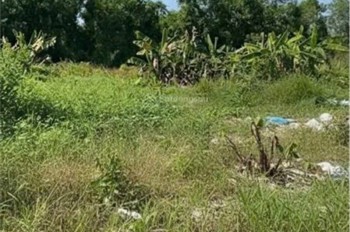 CẦN CHO THUÊ LÔ ĐẤT nông nghiệp để trồng trọt, chăn nuôi TẠI Xã Phạm Văn Hai, Bình Chánh, HCM