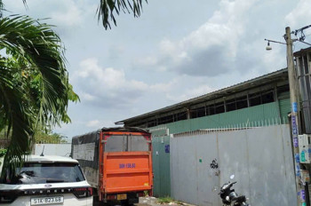 BÁN XƯỞNG MẶT TIỀN TTT18 – THỚI TAM THÔN, HÓC MÔN – FULL THỔ CƯ 1.100m²!