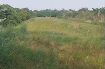 Bán Đất Nông Nghiệp 4678m2 Sổ Hồng MT 5m Đường Tám Sáng, Tân Bình, Châu Thành, Đồng Tháp. Giá 1.5