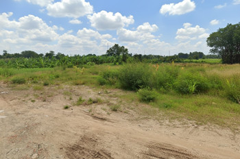 H1752 💥 đất Thạnh Xuân 52 Hóc Môn, SHR, HXT, 41x55m, 14.x tỷ