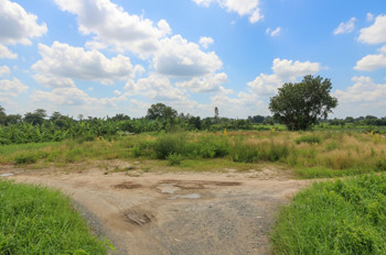 T1753 🔥 đất Thạnh Xuân 52 Hóc Môn, SHR, HXT, 55x51m, 16.x tỷ