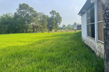 TÔI CHÍNH CHỦ BÁN ĐẤT LÔ ĐẤT XÃ CẦN ĐƯỚC, TỈNH TÂY NINH