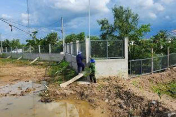 Gia đình chuyển về Sài Gòn sinh sống, không người trông coi, cần bán thửa ruộng