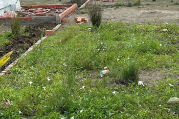 BÁN ĐẤT THỔ CƯ XÂY NHÀ TRỌ – ĐẦU TƯ DÒNG TIỀN ỔN ĐỊNH, SINH LỜI CAO