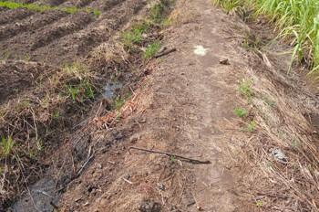 HOT ! HOT ! HOT ! SIÊU PHẨM ĐẤT ĐẸP - Phù Hợp Cho Mọi Gia Đình