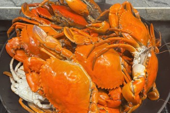 5x7m, BÁN GẤP NHÀ 2 TẦNG, HXH, NGUYỄN VĂN CÔNG, P3 GÒ VẤP, 4 TỶ 1 TL