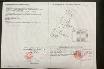 Sở Hữu Lô ĐẤT CHÍNH CHỦ - 2 MẶT TIỀN Xã Tân Phú Trung, Huyện Củ Chi, TP Hồ Chí Minh