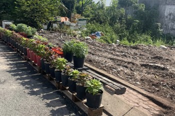 Bán đất mặt tiền 5x19,5m giá 5 tỷ Đường Đông Thạnh 7-3