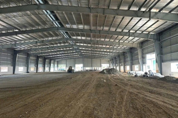 Cho thuê nhà xưởng 6.500m² ngoài KCN Bến Cát, Bình Dương – Xưởng mới 100%, PCCC tự động