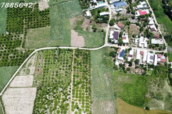 BÁN ĐẤT VƯỜN CHỈ 380 TRIỆU CHO 1.000 MÉT TẠI KHÁNH HOÀ