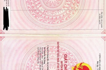 ĐẤT ĐẸP – CHÍNH CHỦ CẦN BÁN GẤP LÔ ĐẤT TẠI Phường Phước Hòa, TX Phú Mỹ, Bà Rịa - Vũng Tàu