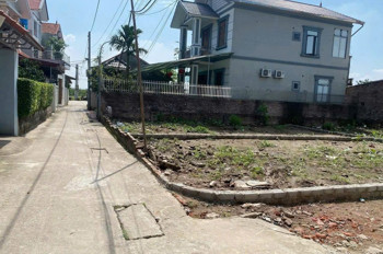 Bán Đất Đầu Tư Cực Đẹp Lô Góc Làng Mai Xá Thắng Lợi, Thường Tín