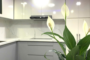 NHÀ GÁC ĐÚC – KIỆT 192 TÔ HIỆU  HÒA MINH – LIÊN CHIỂU