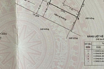 CẦN BÁN GẤP BIỆT THỰ VƯỜN AN PHÚ ĐÔNG – NGANG HƠN 12M – KHÔNG GIAN XANH HIẾM, Q12