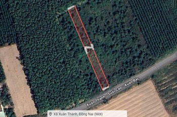 D1823 ⚡️ Giảm 300tr! đất Mặt tiền Xuân Thành Đồng Nai, SHR, 10x116m, 1.x tỷ