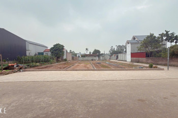 +

TỔNG 8 LÔ FO ĐƯỜNG THÔNG RỘNG 11M  5 LÀN Ô TÔ TRÁNH NHAU  

CAM KÊT HOA HẬU ĐẸP NHẤT THĂNG