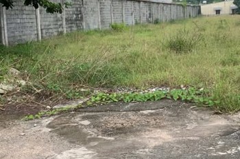 Bán đất mặt tiền 10.138m ngang 39m giá 199 tỷ Đường Tô Ký 12