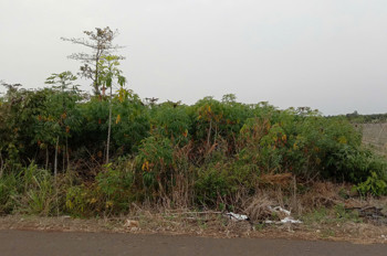 Cần bán lô đất chính chủ. Thuộc xã đa bạc. Đường nhựa sát dân. DT. 4sao2 giá 3t2 hết sổ