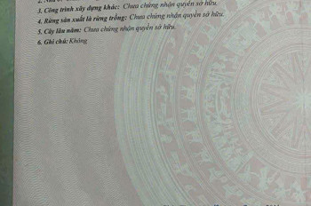 Cc Gửi B.án 93M Đất Trung Tâm Phúc Thọ _ Hà Nội