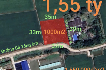 Bán Lô Đất Lúa Chuyển Thổ Đường Bê Tông 6M Giá 1,55 Tỷ