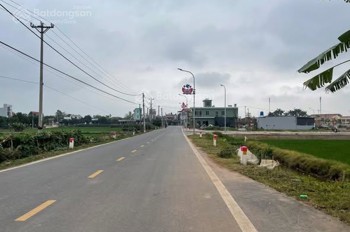 Bán Đất Mặt Đường Trục Xã Quỳnh Mỹ (Nay Thuộc Quỳnh Phụ) Vị Trí Kinh Doanh Tốt