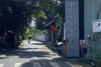 Kho (400M2) Xuân Thới Sơn – Sát Nguyễn Thị Thử – Xe Tải Vào Tận Nơi