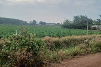 Đất Mặt Tiền Tân Châu Tây Ninh Giá 3.5 Tỷ