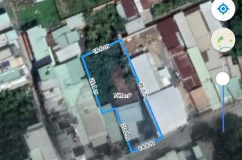 Đất Thạnh Xuân 52 – 795M² Full Thổ Cư – Hậu 18,6M – Chỉ 26 Tỷ